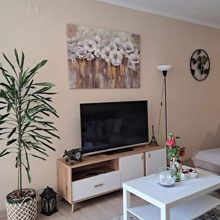 Holiday Home Apartment Budva Ngoại thất bức ảnh