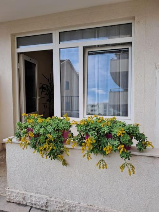 Holiday Home Apartment Budva Ngoại thất bức ảnh