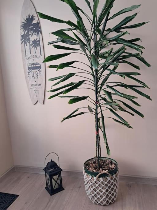 Holiday Home Apartment Budva Ngoại thất bức ảnh
